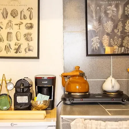 Charming House With Authentic And Bohemian Design In The Heart Of Urla 公寓 伊兹密尔